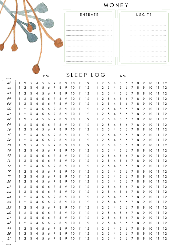Sleep Log e Money tracker